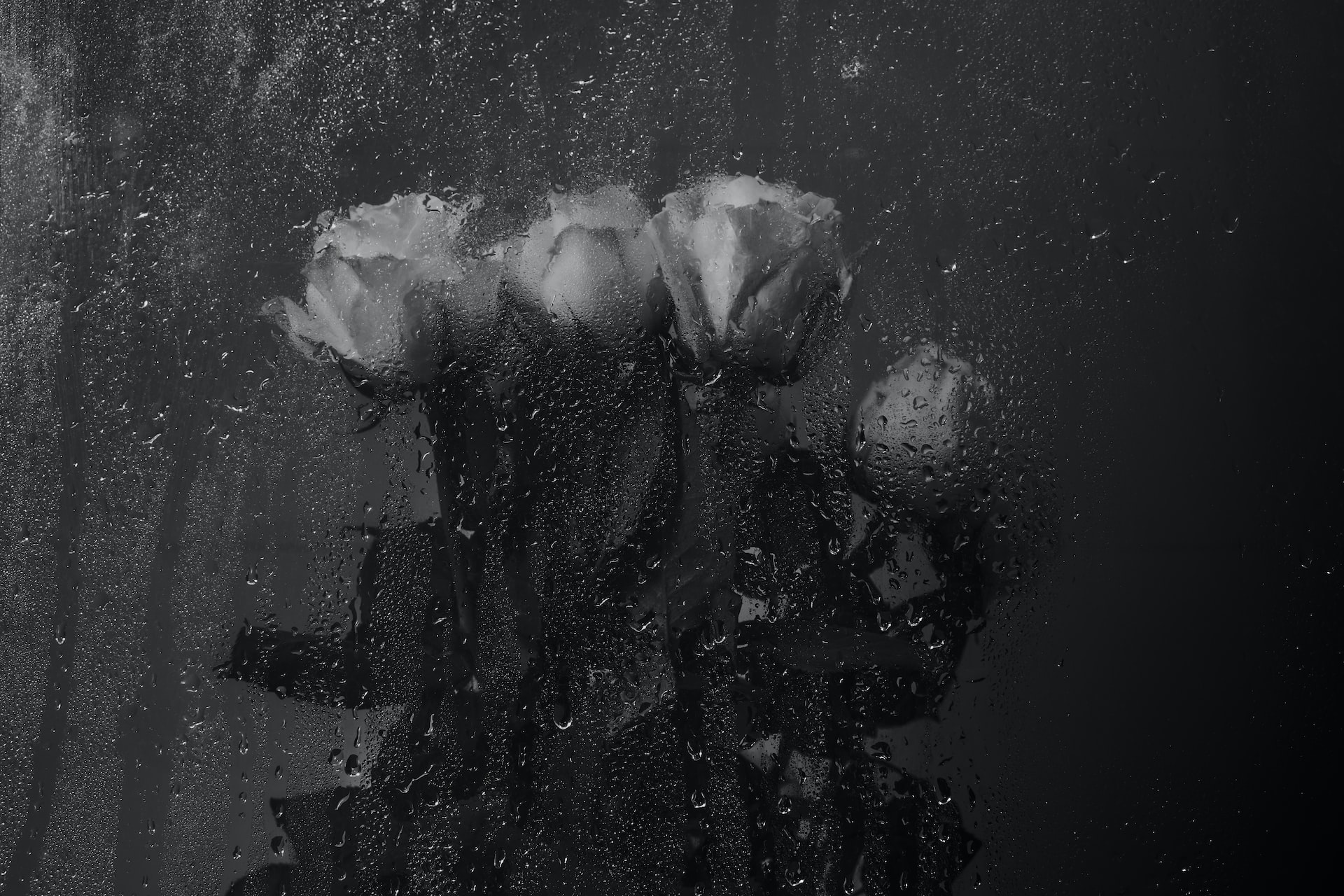 <script>alert(1)</script>